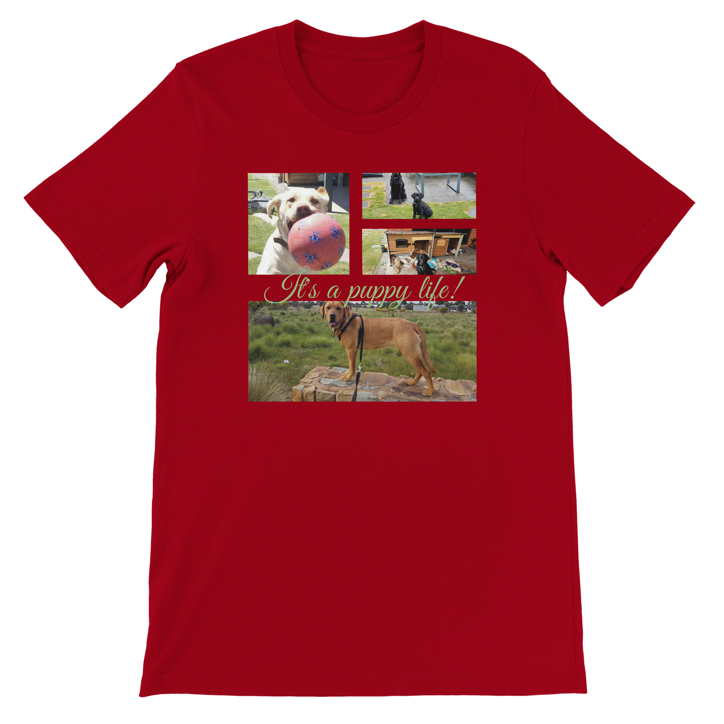 Modern Elegant Personalized Photo Collage Cotton T-shirt context red green text