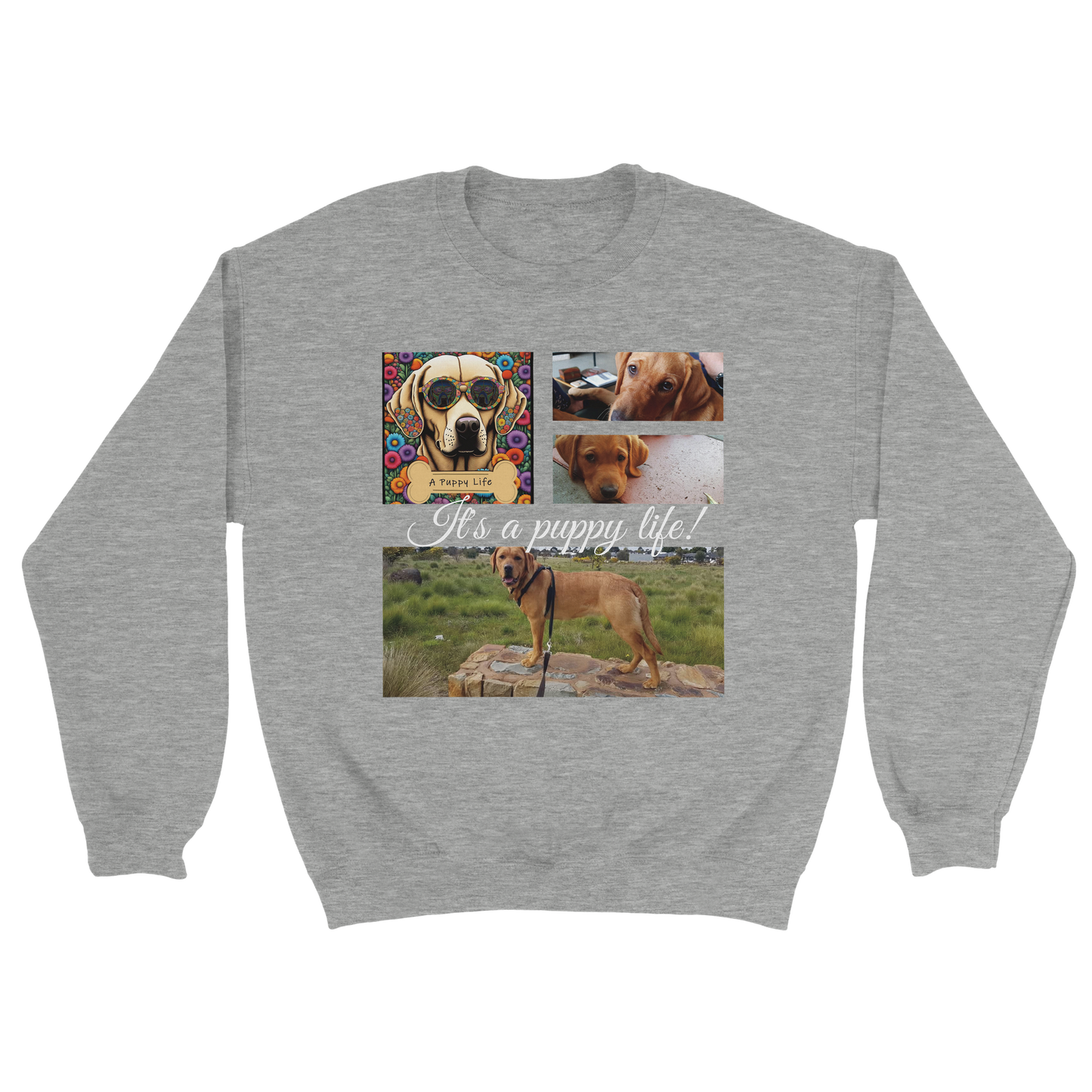 Personalized Photo Collage Pet Sweatshirt – Stylish, Cozy & Uniquely Yours Dark Heather Ash with white text