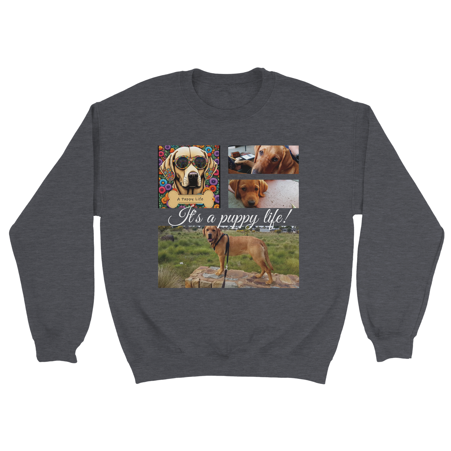 Personalized Photo Collage Pet Sweatshirt – Stylish, Cozy & Uniquely Yours Dark Heather Grey with white text
