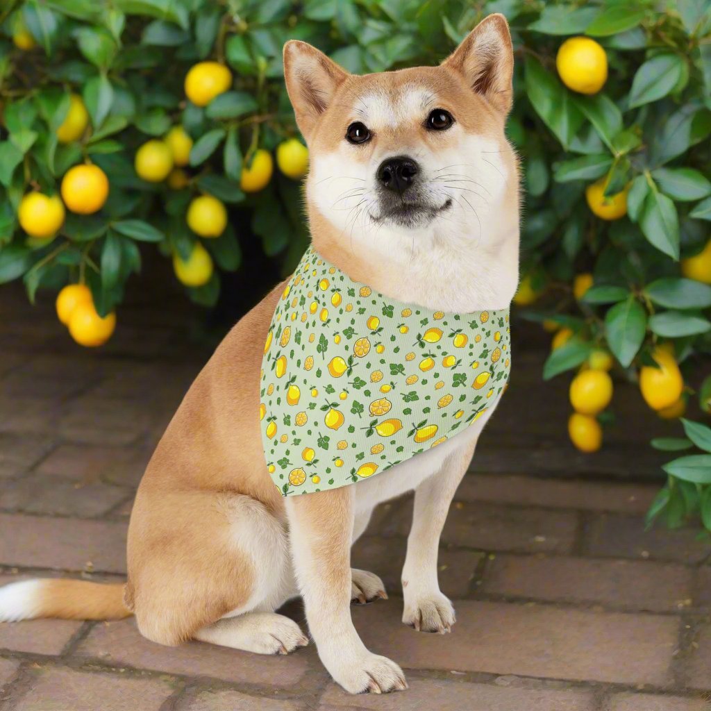 Pet Bandana Collar, Lemons and Parsley, Pale Green Background L context