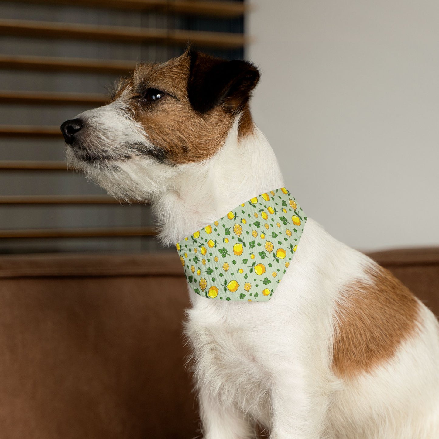Pet Bandana Collar, Lemons and Parsley, Pale Green Background S context