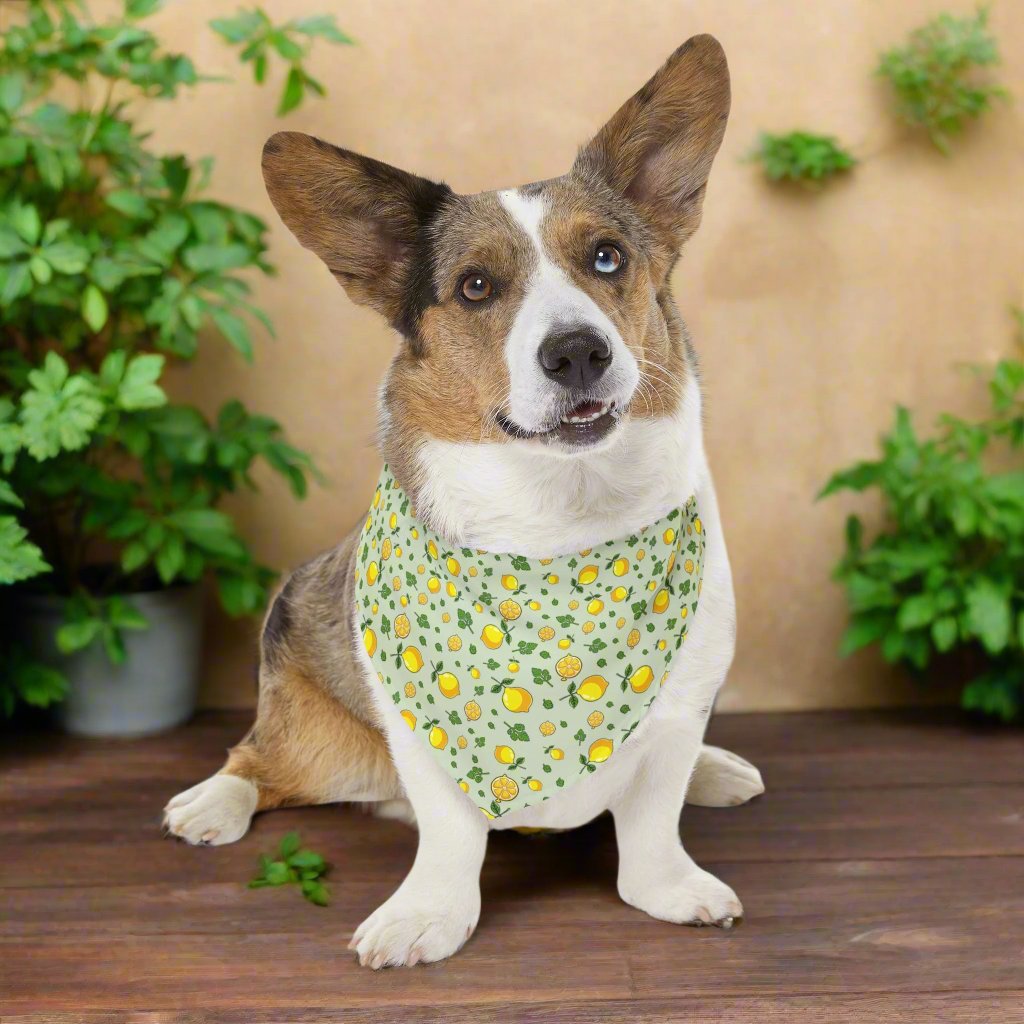 Pet Bandana Collar, Lemons and Parsley, Pale Green Background XL Context