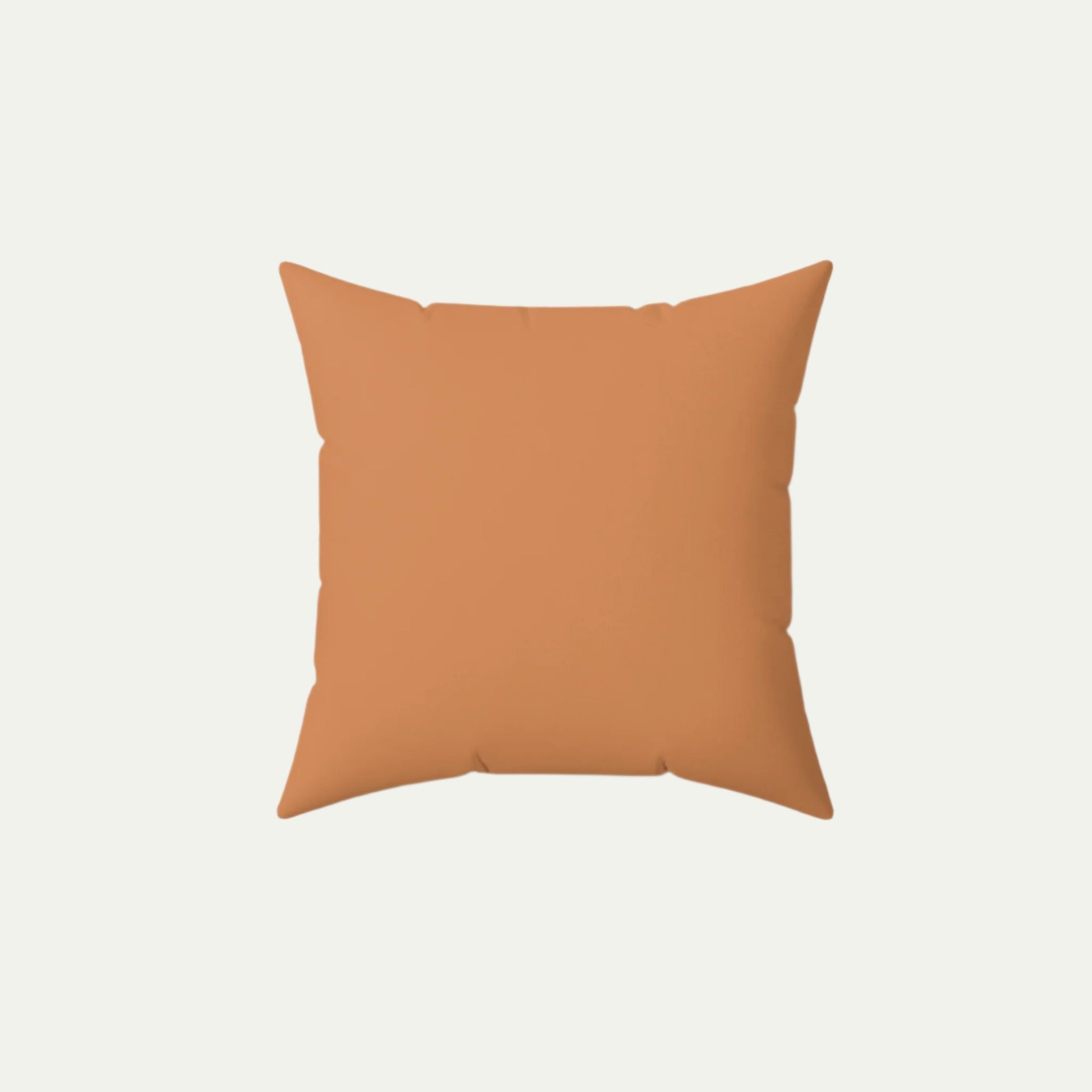A Shih Tzu Puppy Wearing glasses, Square Accent Pillow, Creamy Coral 14 inch back