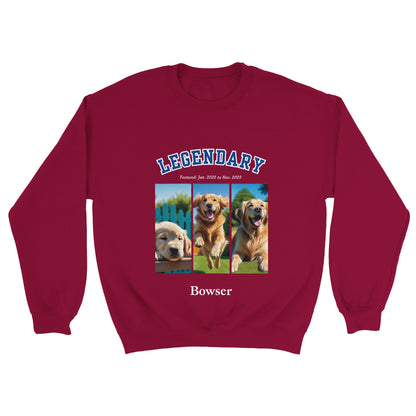 American College Varsity Design Custom 3 Pet Photos Sweatshirt – Celebrate Your Furry Friend Cardinal Red