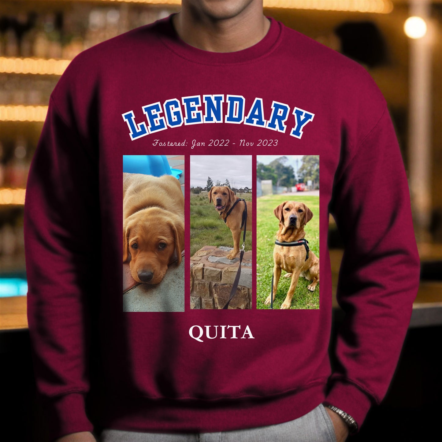 American College Varsity Design Custom 3 Pet Photos Sweatshirt – Celebrate Your Furry Friend cardinal red context