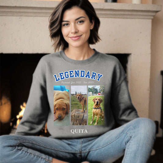 American College Varsity Design Custom 3 Pet Photos Sweatshirt – Celebrate Your Furry Friend sport grey context