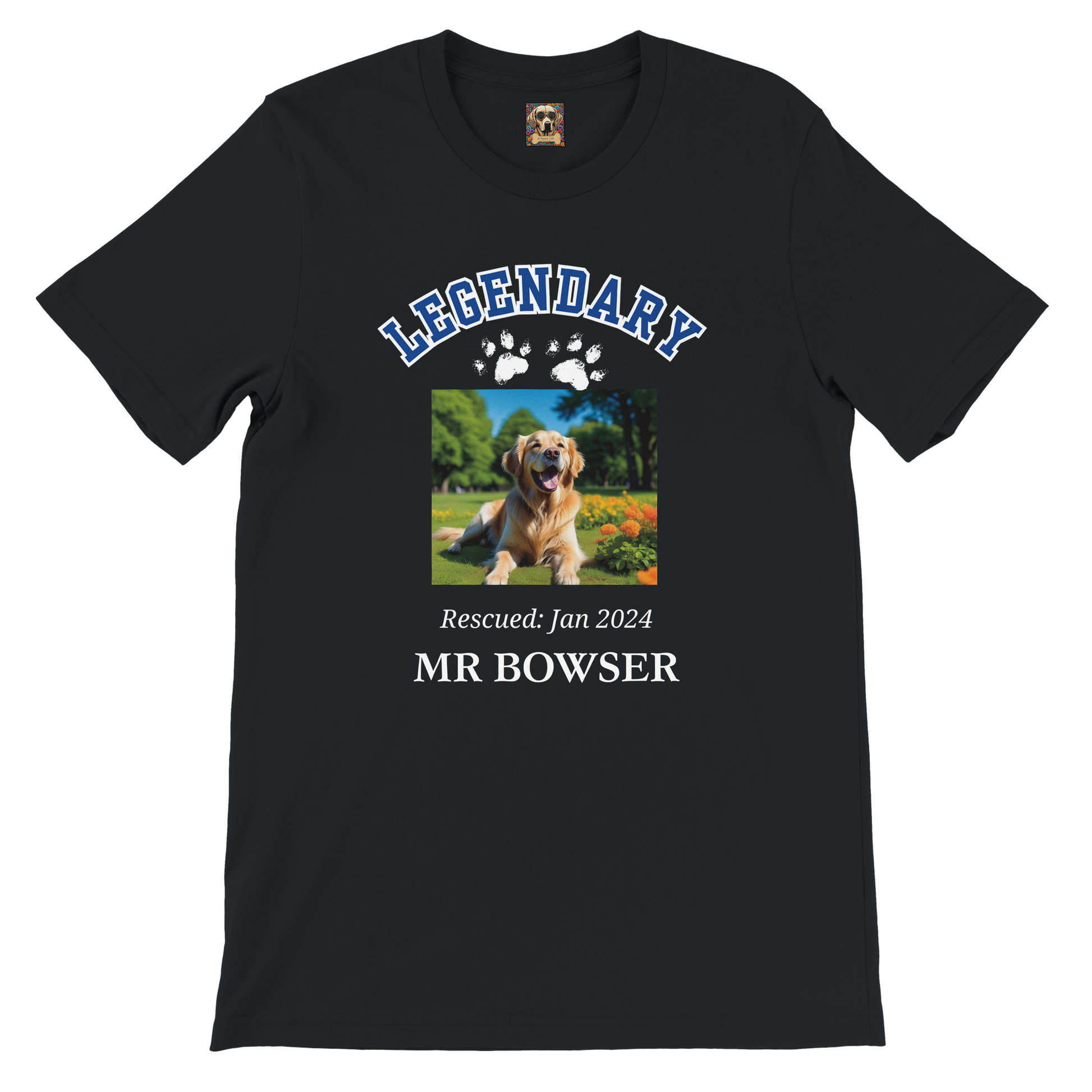 American College Varsity Design Custom Pet Photo T-Shirt – Celebrate Your Furry Friend black