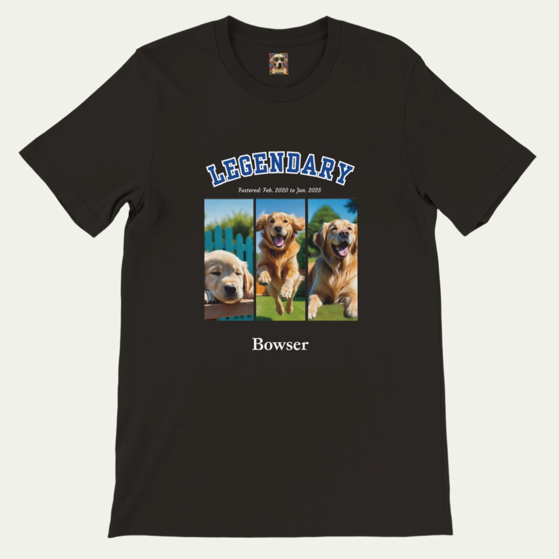 Amerilackcanb College Varsity Design Custom 3 Pet Photos T-Shirt – Celebrate Your Furry Friend - 