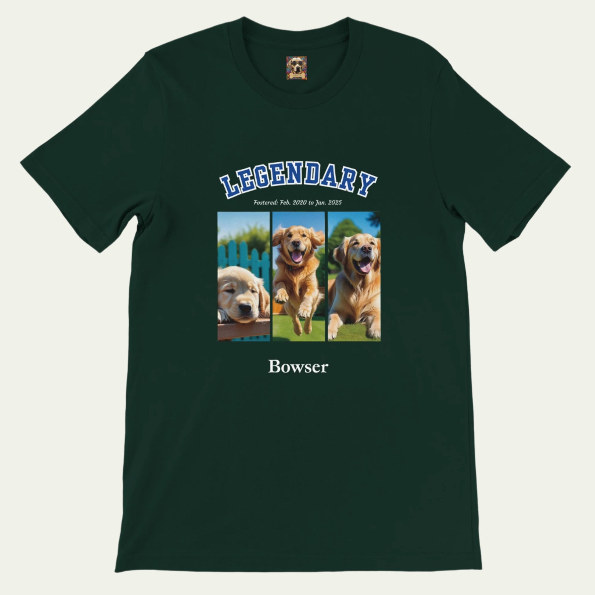 Amerilackcanb College Varsity Design Custom 3 Pet Photos T-Shirt – Celebrate Your Furry Friend - Forest Green