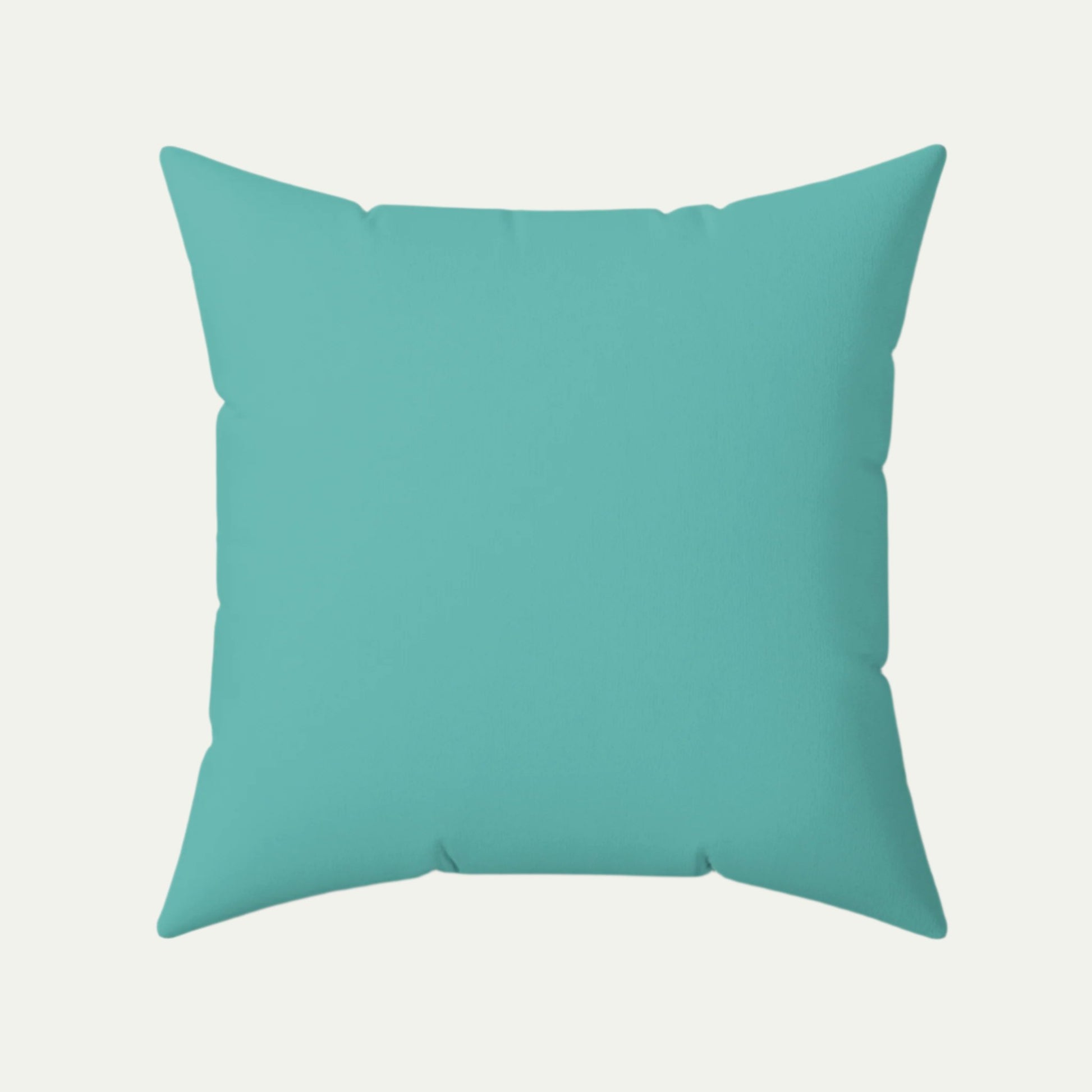 Black Cat Square Accent Pillow, Sky Blue 20 inch Back