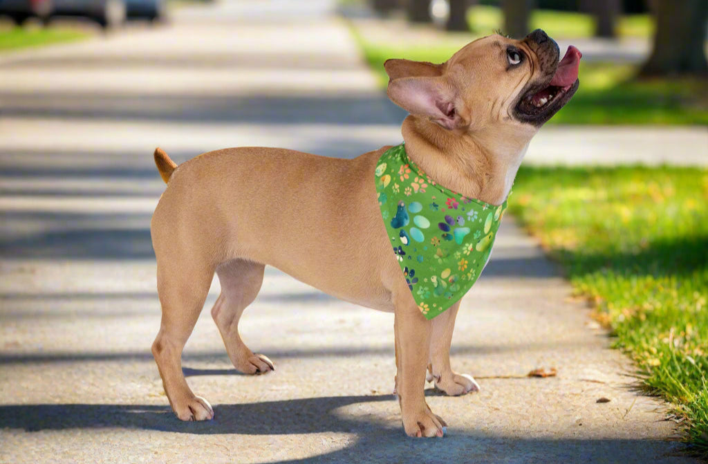 Colorful Paw Prints on Vibrant Green, Pet Bandana for Dogs - Perfect for March Outings context