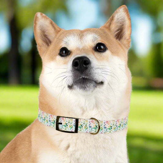 Dog Collar| Collar with  Colorful Paw Prints on White Background| Odor-proof and Stain-Resistant| Rainbow-Splash context black buckle