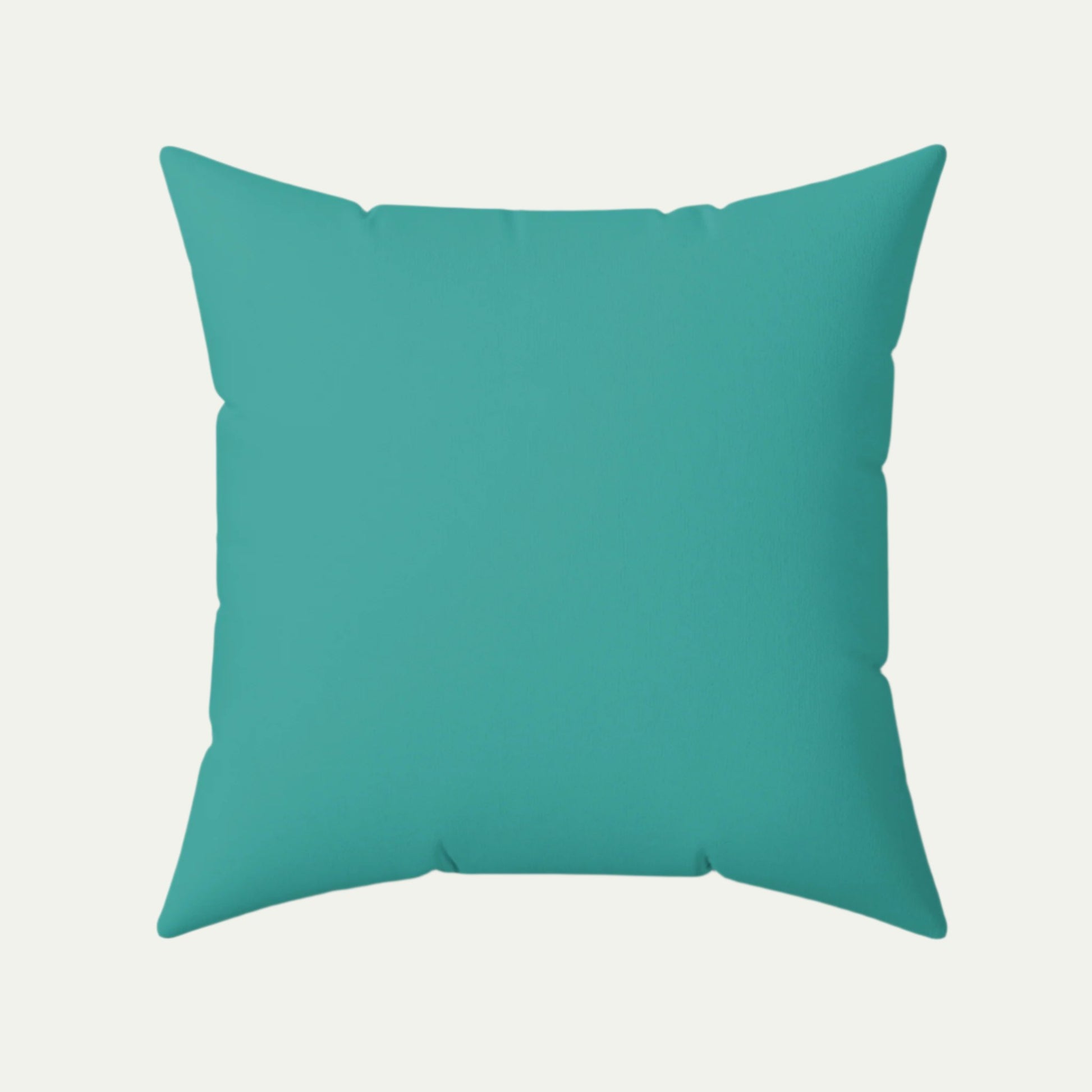 Labrador Retriever Wearing Glasses, Square Accent Pillow,  Teal, 20 inch  Back