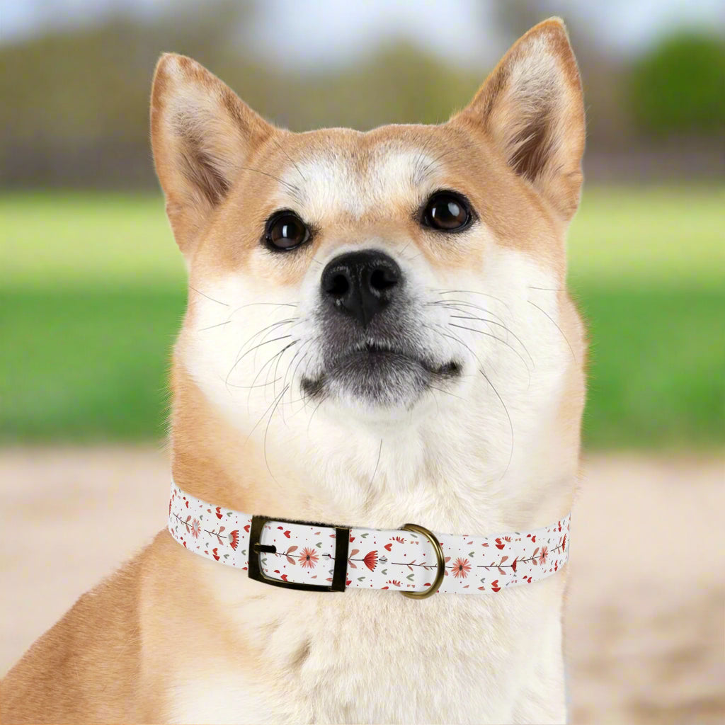 Odor-proof and Stain-Resistant Dog Collar, Pink Floral on a White Background vintage brass buckle context