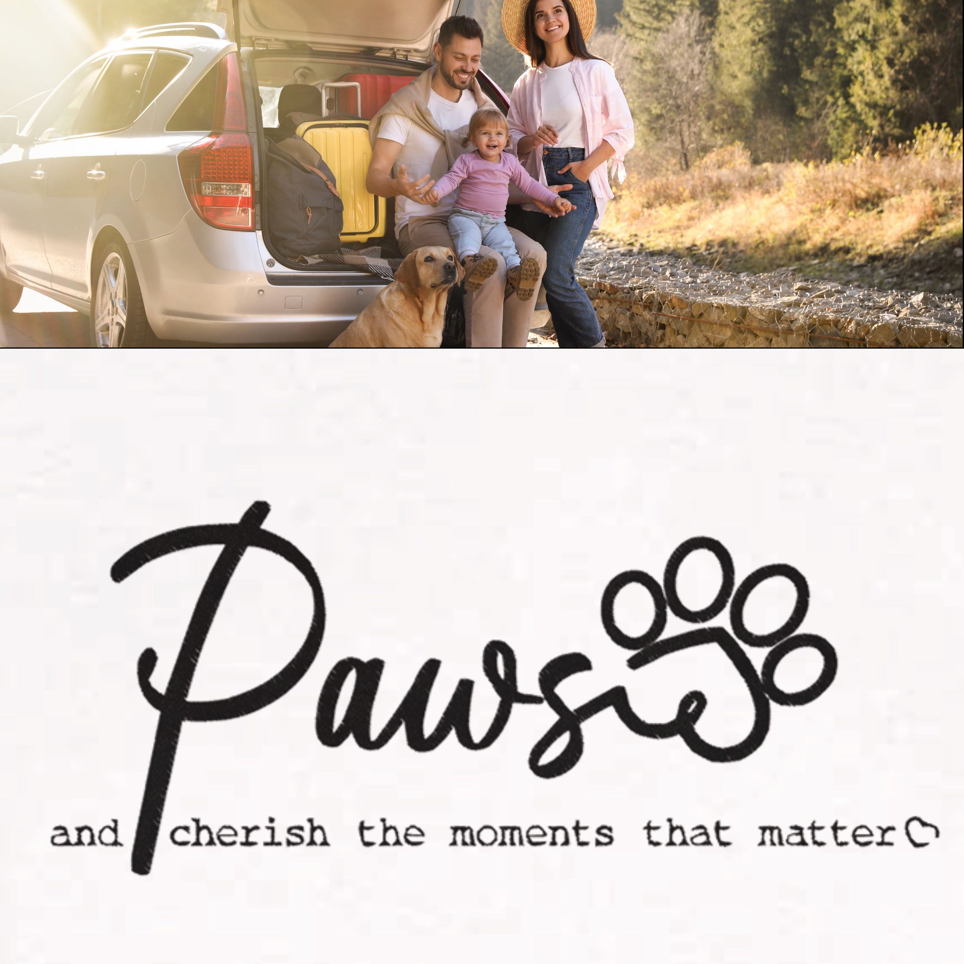 Personalized Pet Crewneck Sweatshirt- Custom Embroidered Pets Names - Paws & Cherish -  context and image close up