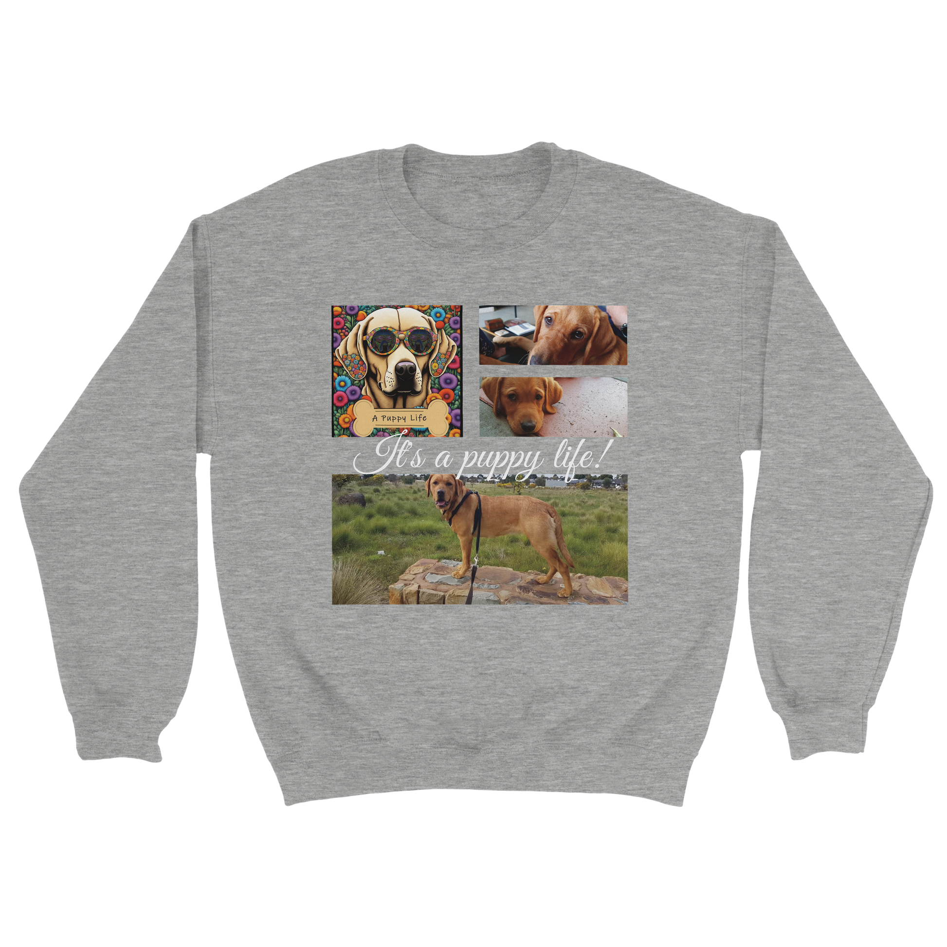 Personalized Photo Collage Pet Sweatshirt – Stylish, Cozy & Uniquely Yours Dark Heather Ash with white text