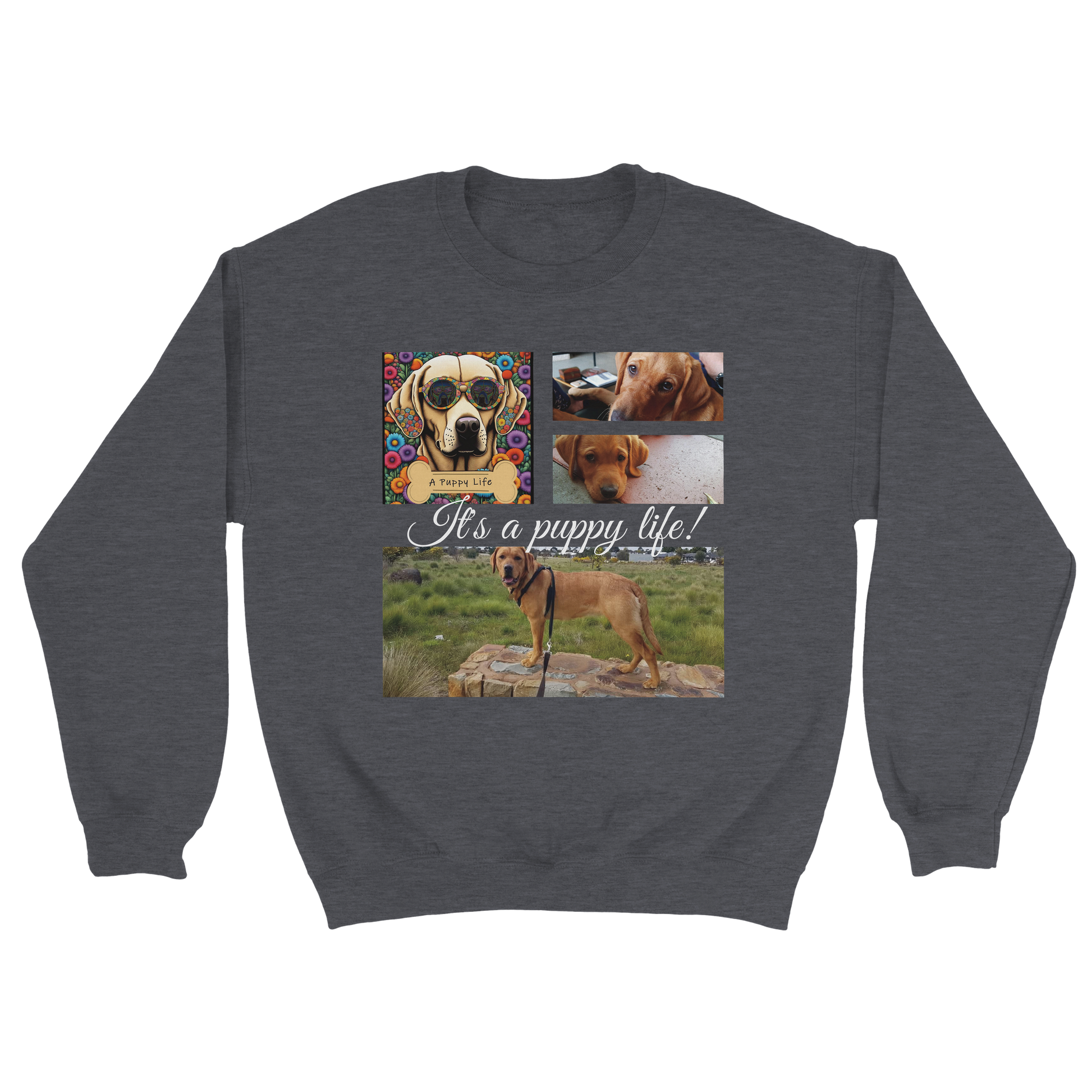 Personalized Photo Collage Pet Sweatshirt – Stylish, Cozy & Uniquely Yours Dark Heather Grey with white text