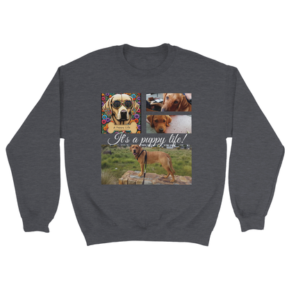 Personalized Photo Collage Pet Sweatshirt – Stylish, Cozy & Uniquely Yours Dark Heather Grey with white text