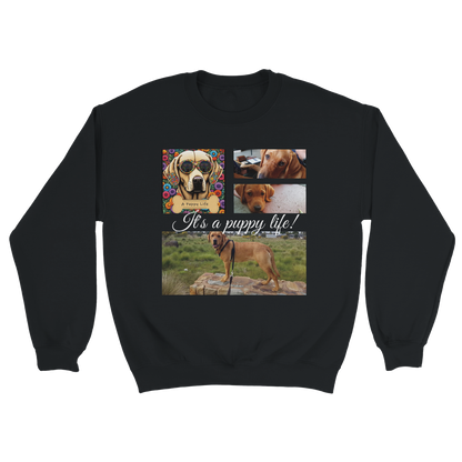 Personalized Photo Collage Pet Sweatshirt – Stylish, Cozy & Uniquely Yours black with white text