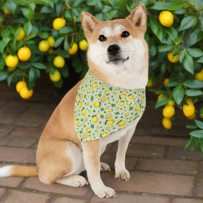 Pet Bandana Collar, Lemons and Parsley, Pale Green Background L context