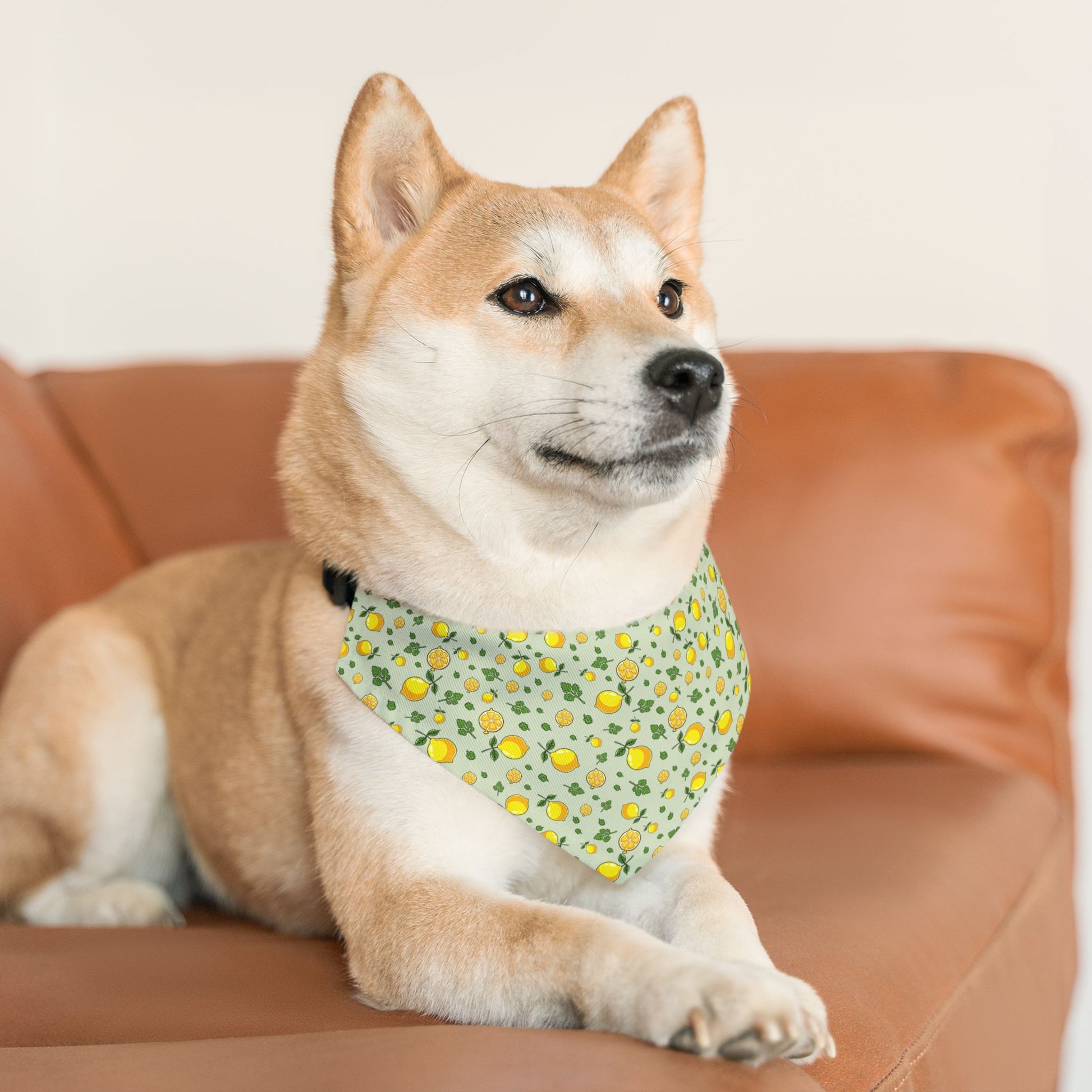 Pet Bandana Collar, Lemons and Parsley, Pale Green Background M context
