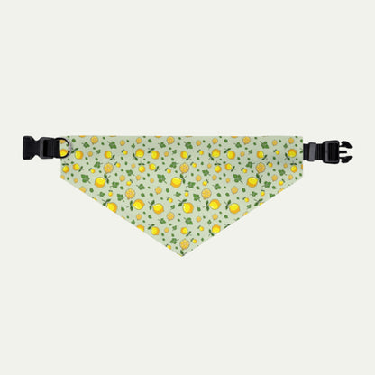Pet Bandana Collar, Lemons and Parsley, Pale Green Background XL