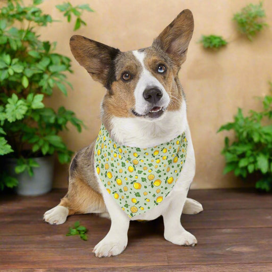 Pet Bandana Collar, Lemons and Parsley, Pale Green Background XL Context