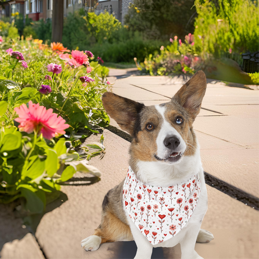Pet Bandana with Hearts and Flowers on a White Background XL Context