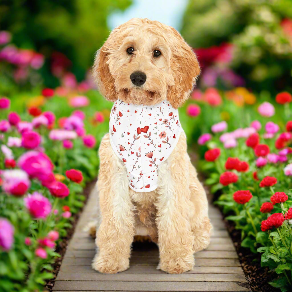 Valentine's Day Hoodie for Dogs | Pet Hoodie| Pink Floral Print Dog and Cat Sweatshirt context front