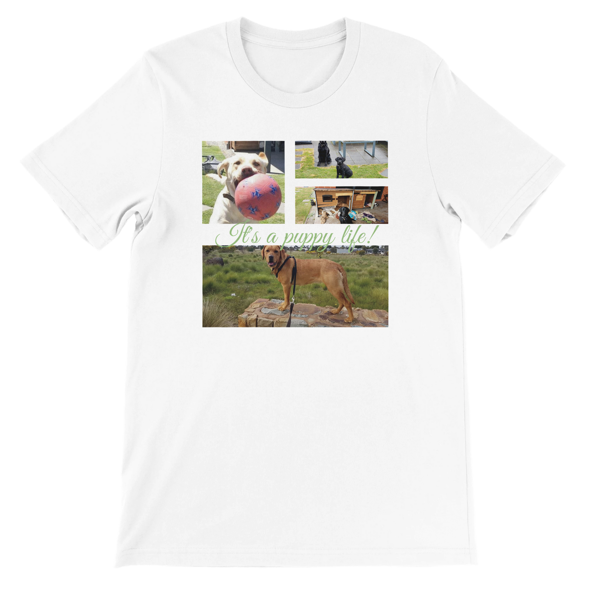 Modern Elegant Personalized Photo Collage Cotton T-shirt context white green text